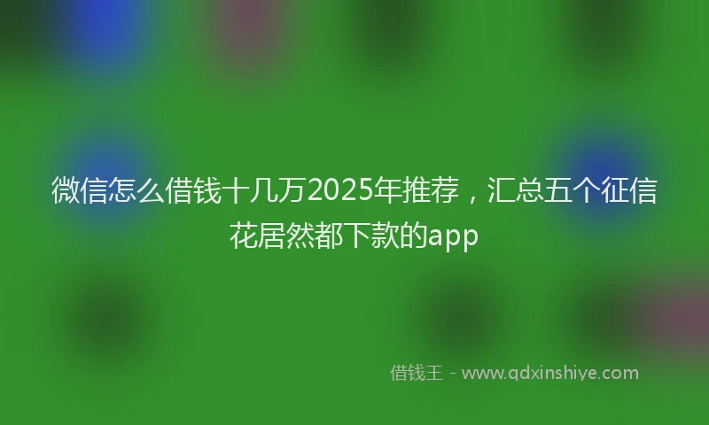 微信怎么借钱十几万2025年推荐，汇总五个征信花居然都下款的app