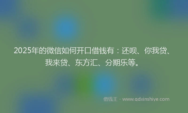 2025年的微信如何开口借钱有：还呗、你我贷、我来贷、东方汇、分期乐等。