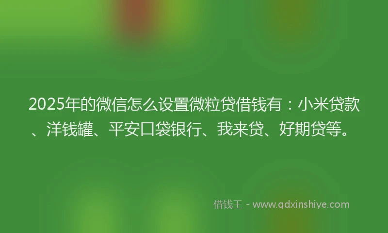 2025年的微信怎么设置微粒贷借钱有：小米贷款、洋钱罐、平安口袋银行、我来贷、好期贷等。