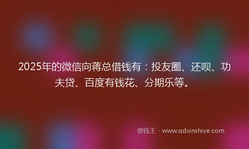 2025年的微信向蒋总借钱有：投友圈、还呗、功夫贷、百度有钱花、分期乐等。