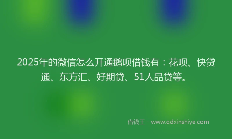2025年的微信怎么开通鹅呗借钱有：花呗、快贷通、东方汇、好期贷、51人品贷等。