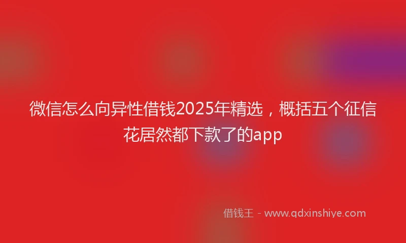 微信怎么向异性借钱2025年精选，概括五个征信花居然都下款了的app
