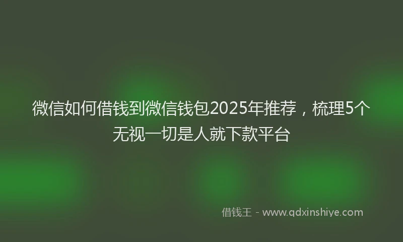 微信如何借钱到微信钱包2025年推荐，梳理5个无视一切是人就下款平台