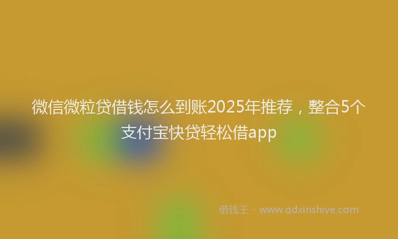 微信微粒贷借钱怎么到账2025年推荐，整合5个支付宝快贷轻松借app