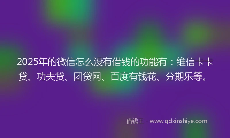 2025年的微信怎么没有借钱的功能有：维信卡卡贷、功夫贷、团贷网、百度有钱花、分期乐等。