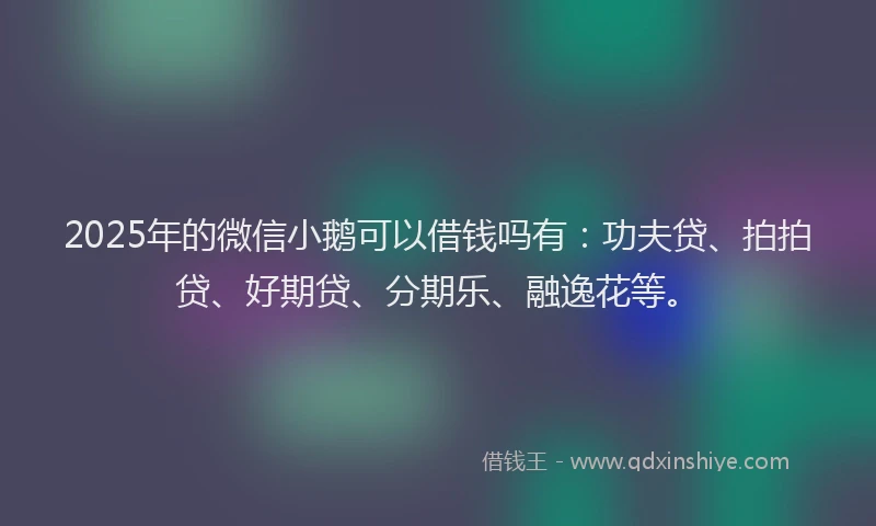 2025年的微信小鹅可以借钱吗有：功夫贷、拍拍贷、好期贷、分期乐、融逸花等。
