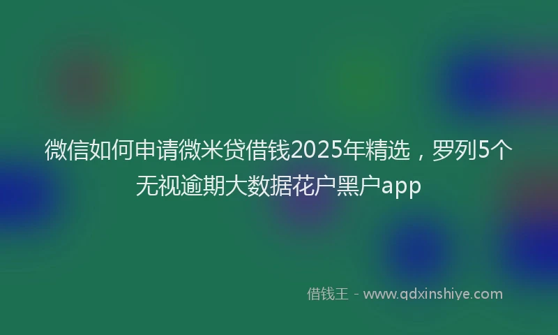 微信如何申请微米贷借钱2025年精选，罗列5个无视逾期大数据花户黑户app