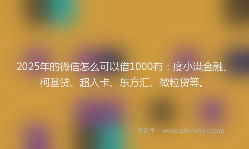 2025年的微信怎么可以借1000有：度小满金融、柯基贷、超人卡、东方汇、微粒贷等。