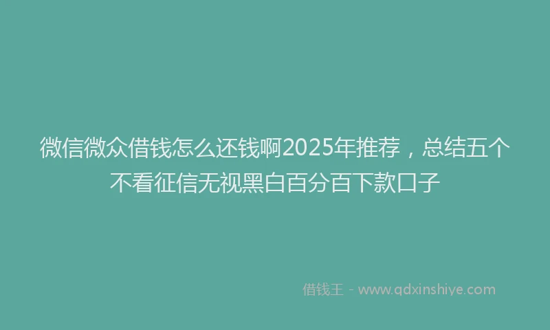 微信微众借钱怎么还钱啊2025年推荐，总结五个不看征信无视黑白百分百下款口子