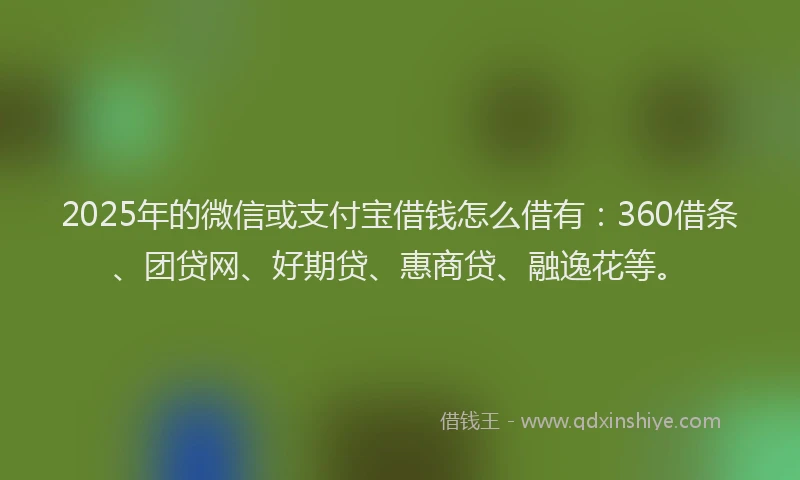 2025年的微信或支付宝借钱怎么借有：360借条、团贷网、好期贷、惠商贷、融逸花等。