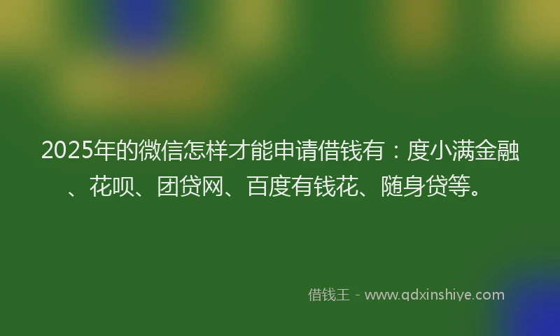 2025年的微信怎样才能申请借钱有：度小满金融、花呗、团贷网、百度有钱花、随身贷等。