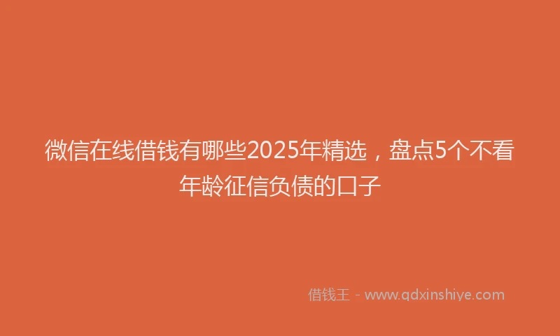 微信在线借钱有哪些2025年精选，盘点5个不看年龄征信负债的口子