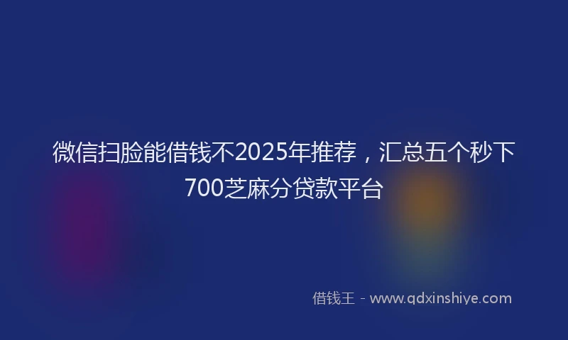 微信扫脸能借钱不2025年推荐，汇总五个秒下700芝麻分贷款平台