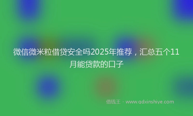 微信微米粒借贷安全吗2025年推荐，汇总五个11月能贷款的口子