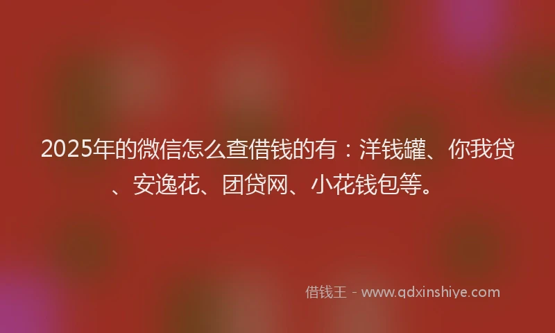 2025年的微信怎么查借钱的有：洋钱罐、你我贷、安逸花、团贷网、小花钱包等。