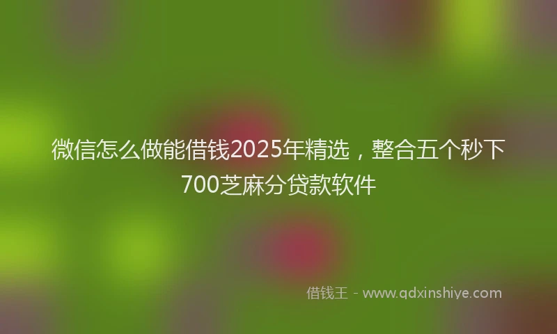 微信怎么做能借钱2025年精选，整合五个秒下700芝麻分贷款软件