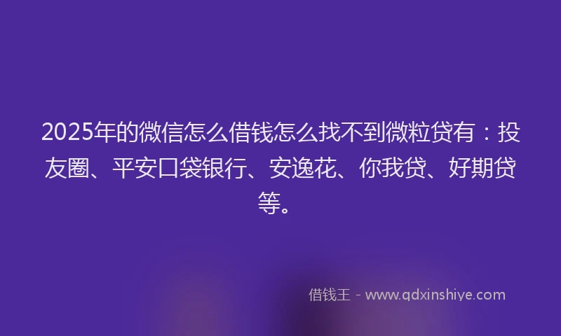 2025年的微信怎么借钱怎么找不到微粒贷有：投友圈、平安口袋银行、安逸花、你我贷、好期贷等。
