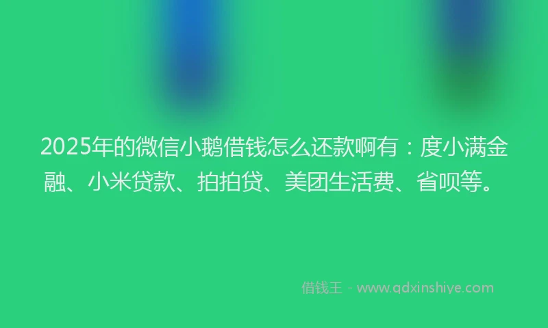2025年的微信小鹅借钱怎么还款啊有：度小满金融、小米贷款、拍拍贷、美团生活费、省呗等。