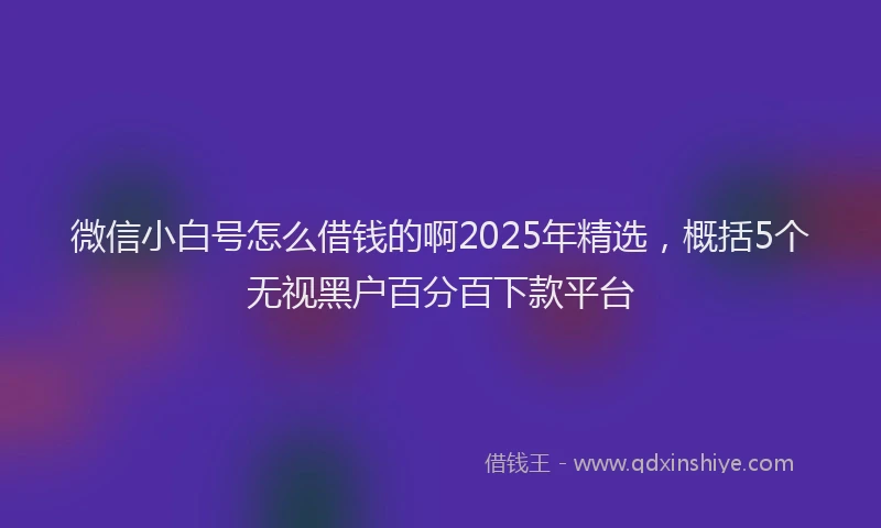 微信小白号怎么借钱的啊2025年精选，概括5个无视黑户百分百下款平台