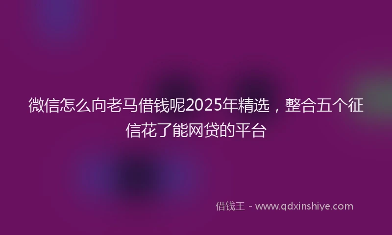 微信怎么向老马借钱呢2025年精选，整合五个征信花了能网贷的平台