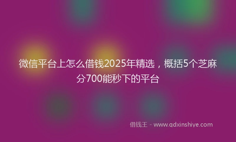 微信平台上怎么借钱2025年精选，概括5个芝麻分700能秒下的平台