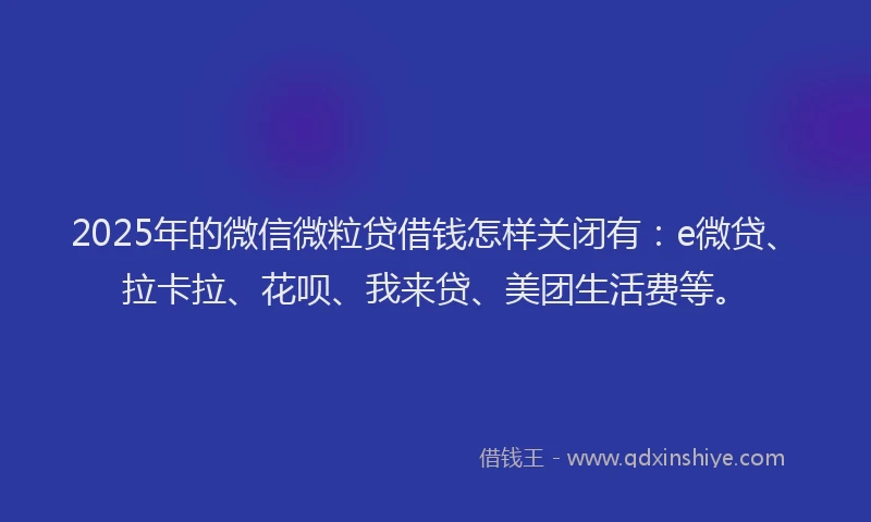 2025年的微信微粒贷借钱怎样关闭有：e微贷、拉卡拉、花呗、我来贷、美团生活费等。