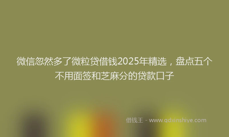 微信忽然多了微粒贷借钱2025年精选，盘点五个不用面签和芝麻分的贷款口子