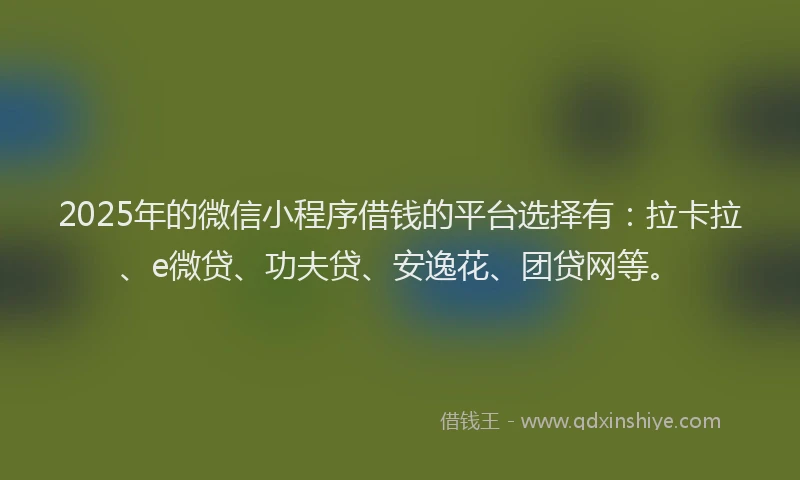 2025年的微信小程序借钱的平台选择有：拉卡拉、e微贷、功夫贷、安逸花、团贷网等。