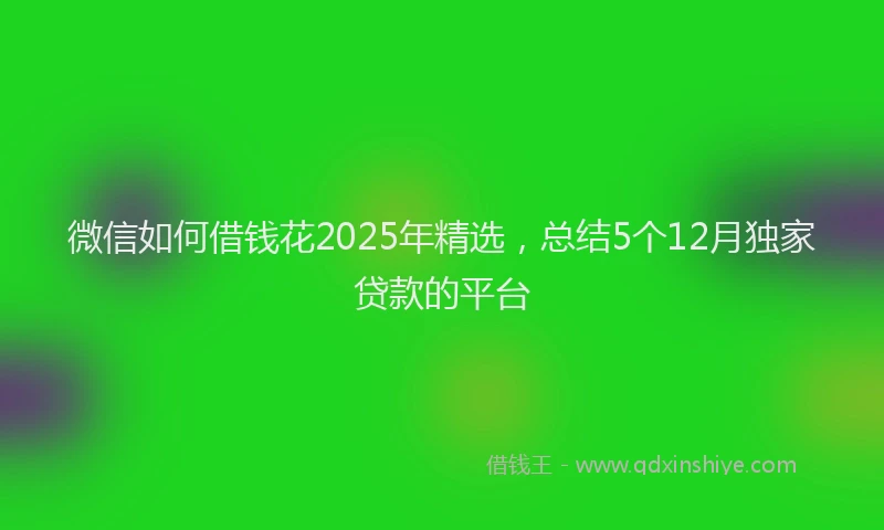 微信如何借钱花2025年精选，总结5个12月独家贷款的平台