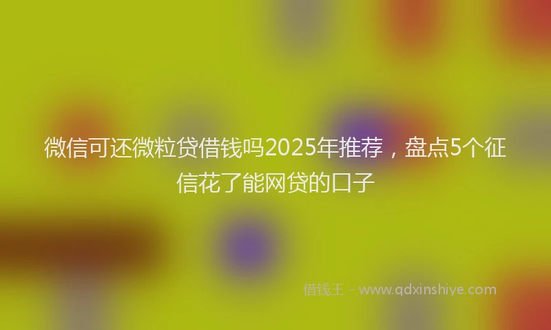 微信可还微粒贷借钱吗2025年推荐，盘点5个征信花了能网贷的口子