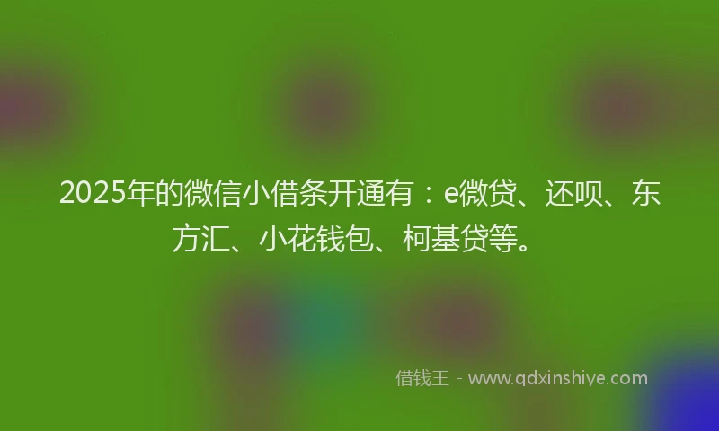 2025年的微信小借条开通有：e微贷、还呗、东方汇、小花钱包、柯基贷等。