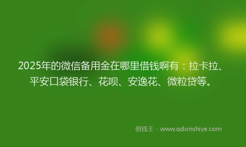 2025年的微信备用金在哪里借钱啊有：拉卡拉、平安口袋银行、花呗、安逸花、微粒贷等。