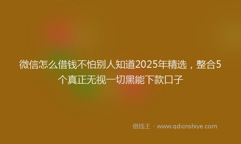 微信怎么借钱不怕别人知道2025年精选，整合5个真正无视一切黑能下款口子