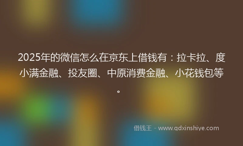 2025年的微信怎么在京东上借钱有：拉卡拉、度小满金融、投友圈、中原消费金融、小花钱包等。