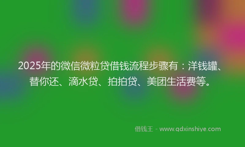 2025年的微信微粒贷借钱流程步骤有：洋钱罐、替你还、滴水贷、拍拍贷、美团生活费等。