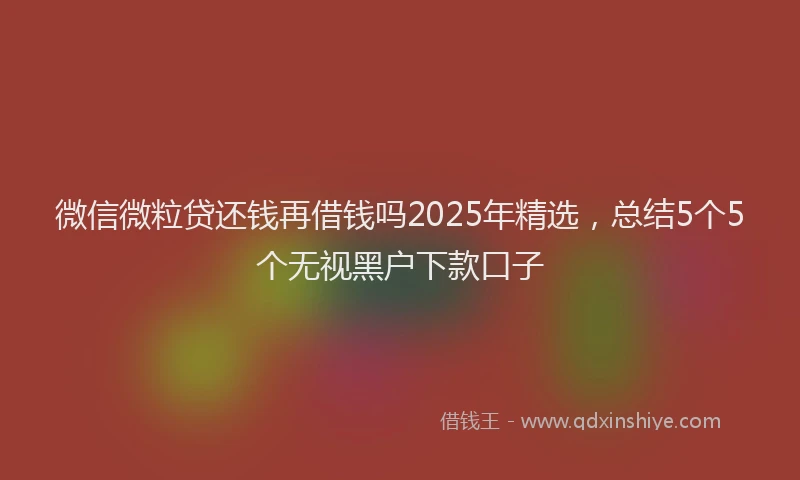 微信微粒贷还钱再借钱吗2025年精选，总结5个5个无视黑户下款口子