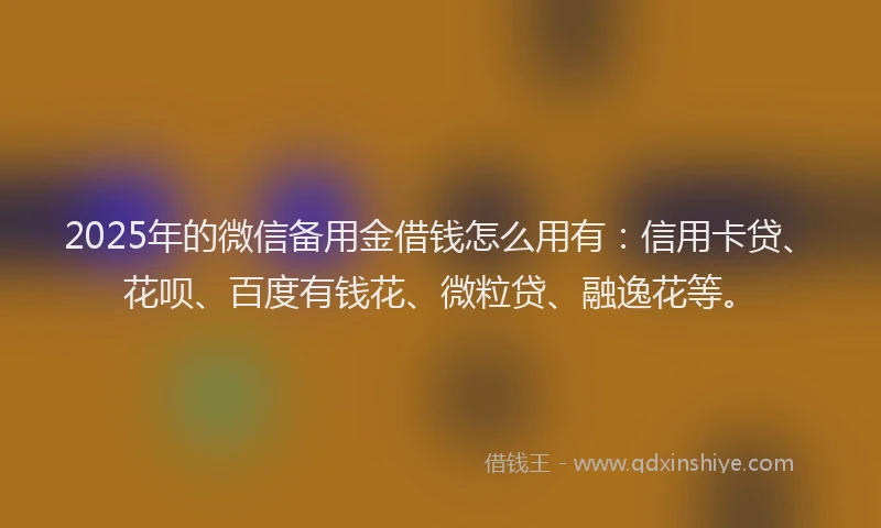 2025年的微信备用金借钱怎么用有：信用卡贷、花呗、百度有钱花、微粒贷、融逸花等。