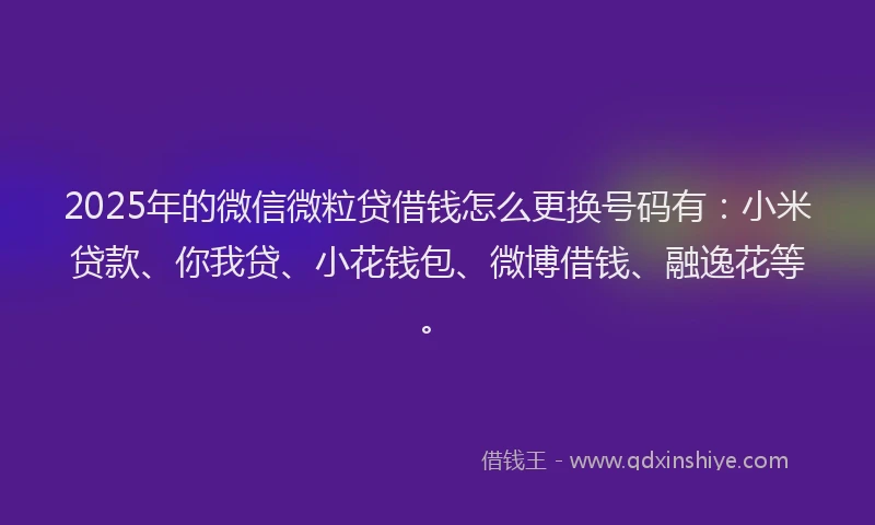 2025年的微信微粒贷借钱怎么更换号码有：小米贷款、你我贷、小花钱包、微博借钱、融逸花等。