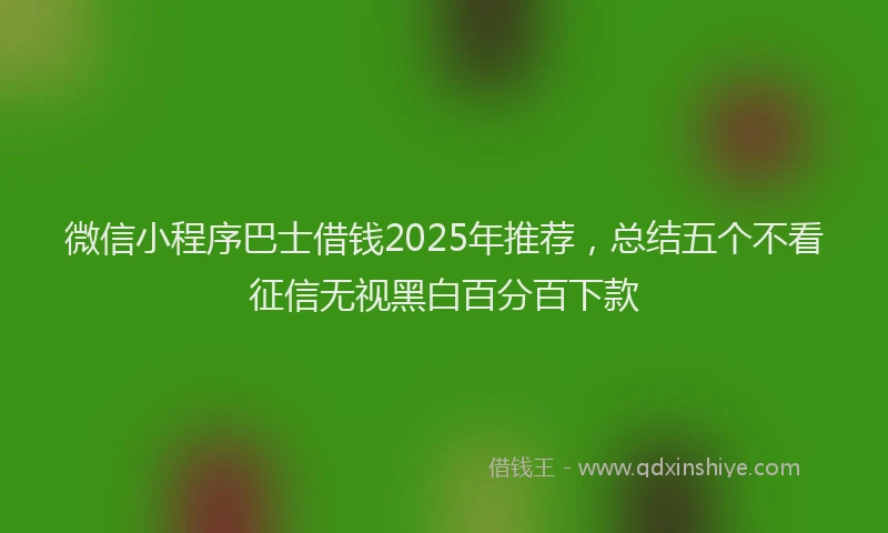 微信小程序巴士借钱2025年推荐，总结五个不看征信无视黑白百分百下款