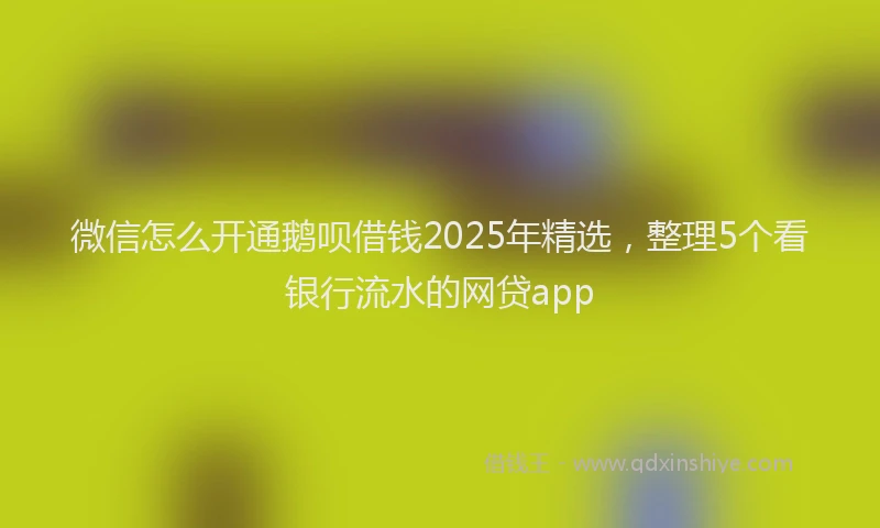 微信怎么开通鹅呗借钱2025年精选，整理5个看银行流水的网贷app