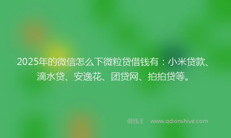 2025年的微信怎么下微粒贷借钱有：小米贷款、滴水贷、安逸花、团贷网、拍拍贷等。