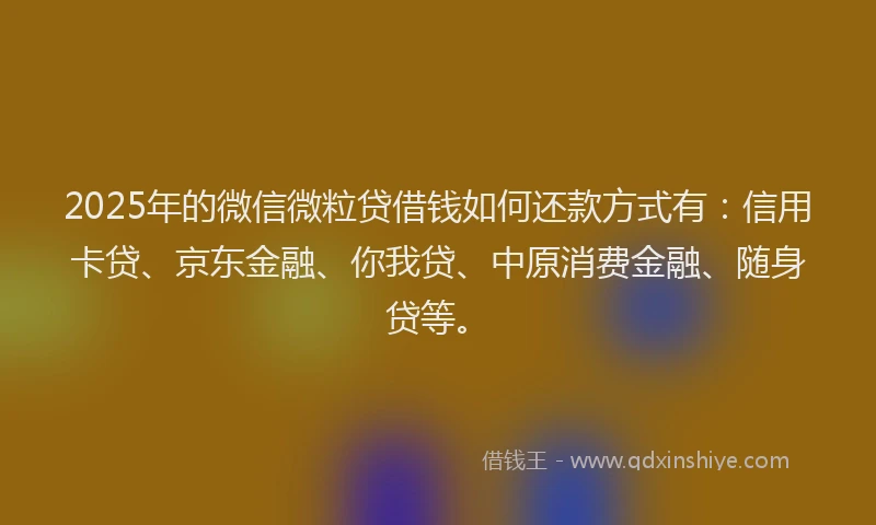 2025年的微信微粒贷借钱如何还款方式有：信用卡贷、京东金融、你我贷、中原消费金融、随身贷等。