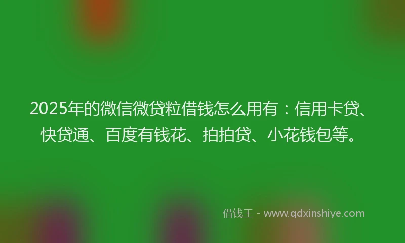 2025年的微信微贷粒借钱怎么用有：信用卡贷、快贷通、百度有钱花、拍拍贷、小花钱包等。