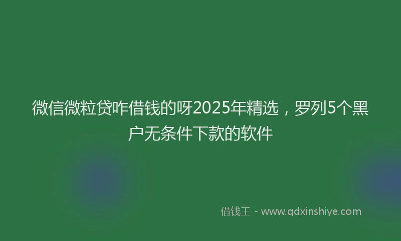 微信微粒贷咋借钱的呀2025年精选，罗列5个黑户无条件下款的软件