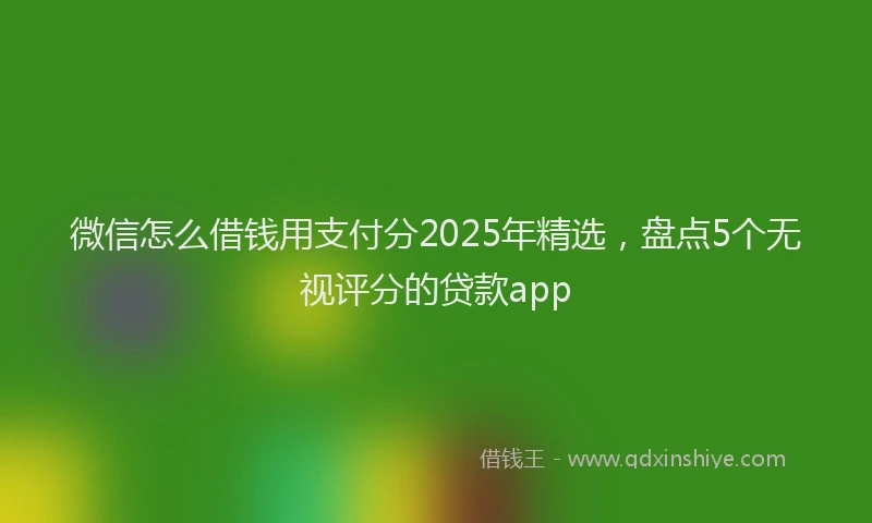 微信怎么借钱用支付分2025年精选，盘点5个无视评分的贷款app