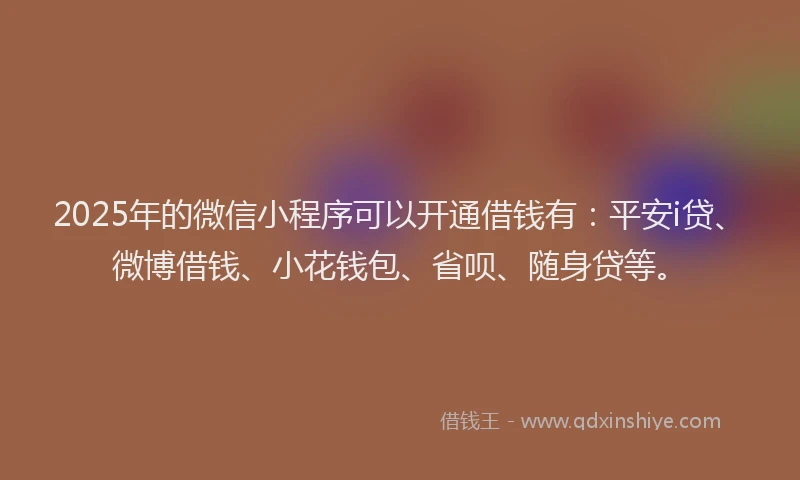 2025年的微信小程序可以开通借钱有：平安i贷、微博借钱、小花钱包、省呗、随身贷等。