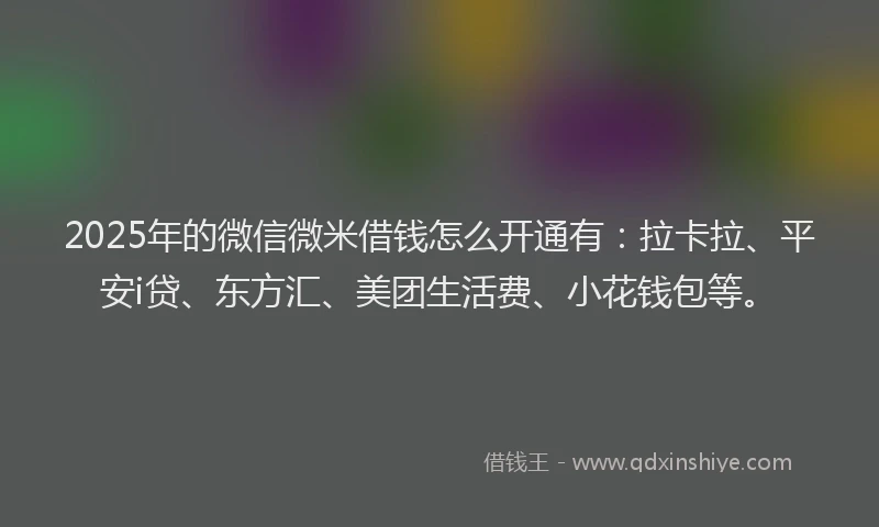 2025年的微信微米借钱怎么开通有：拉卡拉、平安i贷、东方汇、美团生活费、小花钱包等。