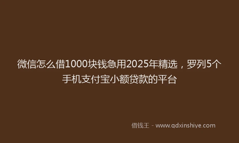 微信怎么借1000块钱急用2025年精选，罗列5个手机支付宝小额贷款的平台