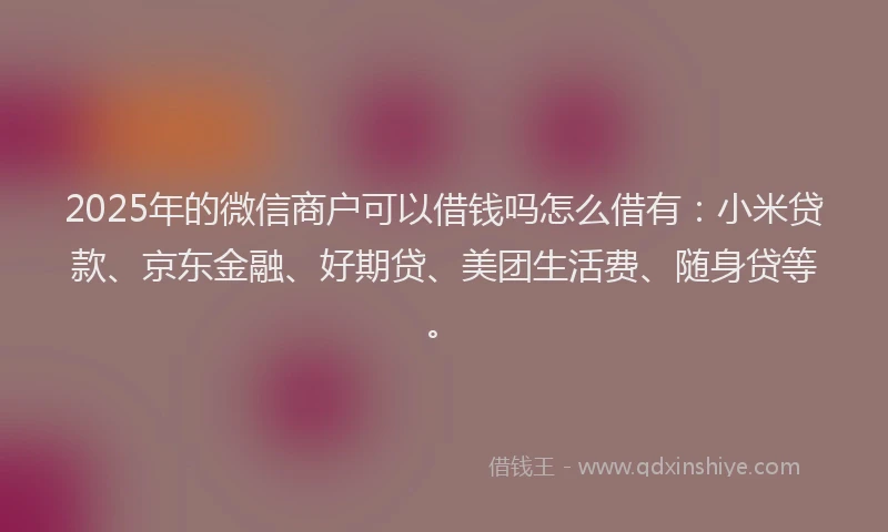 2025年的微信商户可以借钱吗怎么借有：小米贷款、京东金融、好期贷、美团生活费、随身贷等。