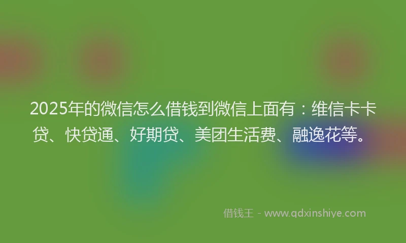 2025年的微信怎么借钱到微信上面有：维信卡卡贷、快贷通、好期贷、美团生活费、融逸花等。